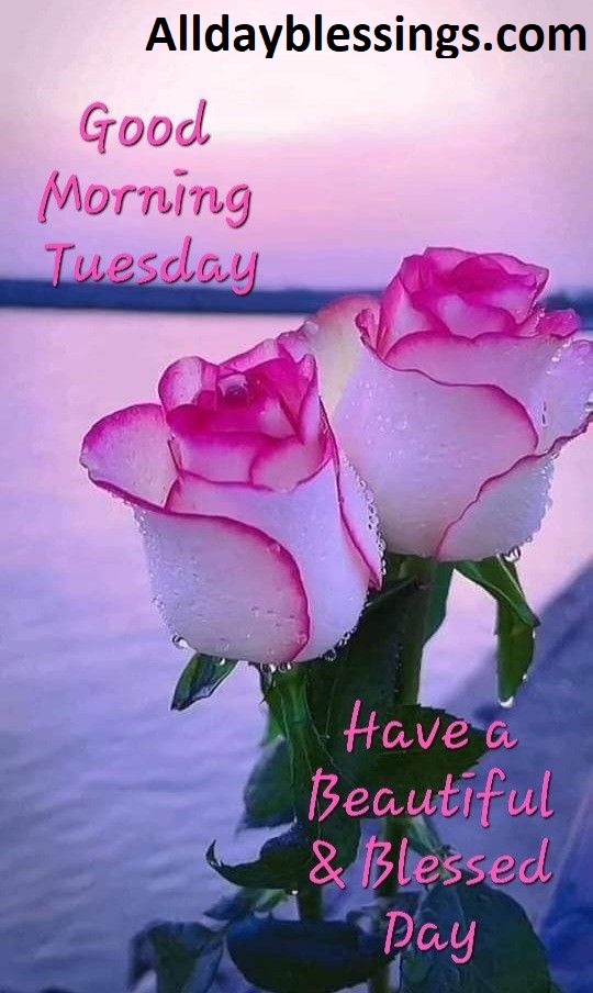 Good Tuesday Morning: 7 Ways to Make Today Amazing