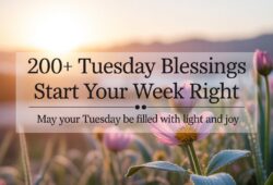200+ Tuesday Blessings, Prayers, Morning & Happy Quotes