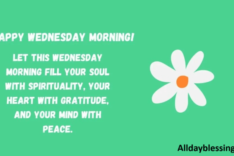 20 Happy Wednesday Images That Brighten Your Midweek